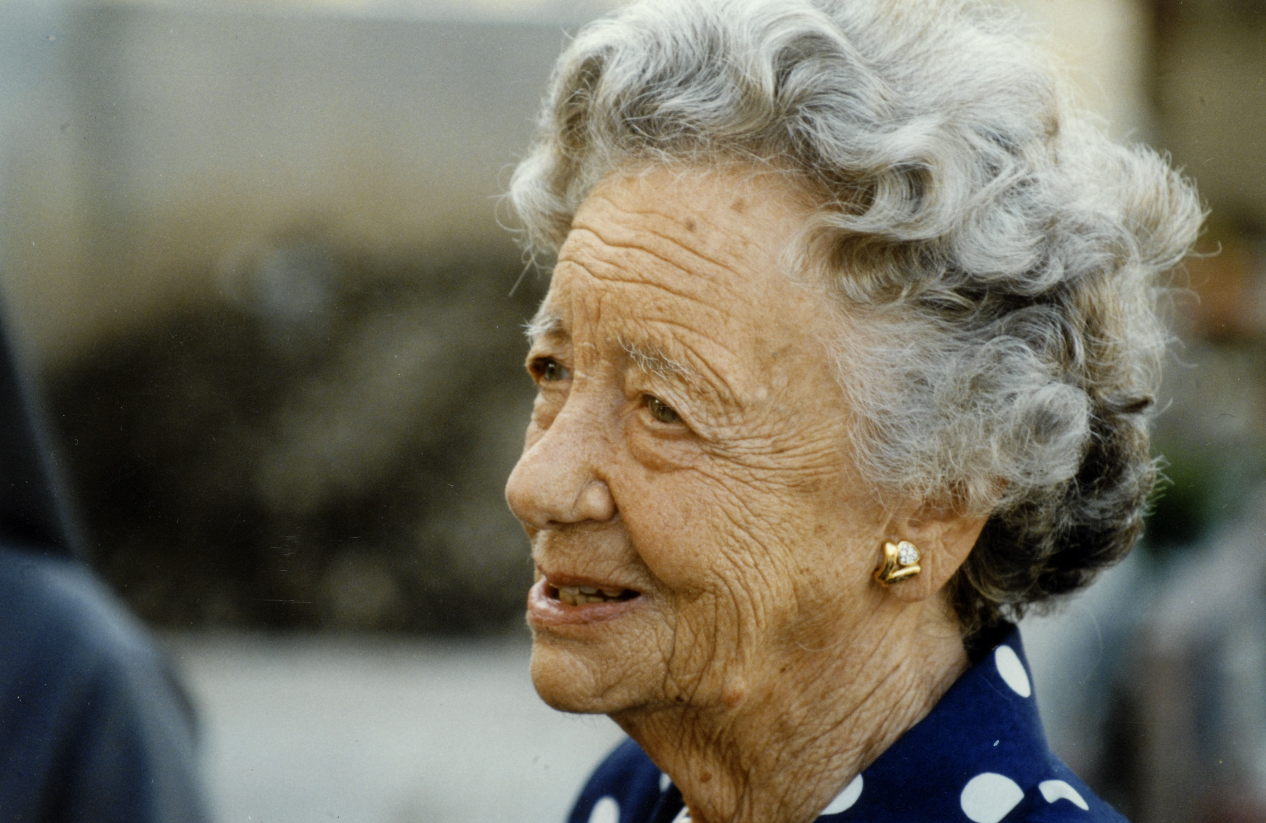 Duccia negli anni '90